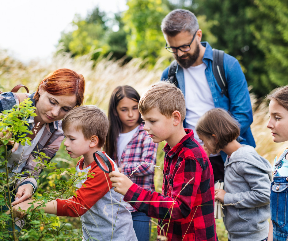 Zajęcia lekcyjne na świeżym powietrzu