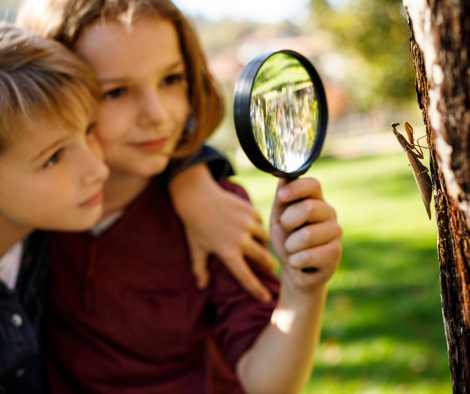 Zajęcia plenerowe dla dzieci