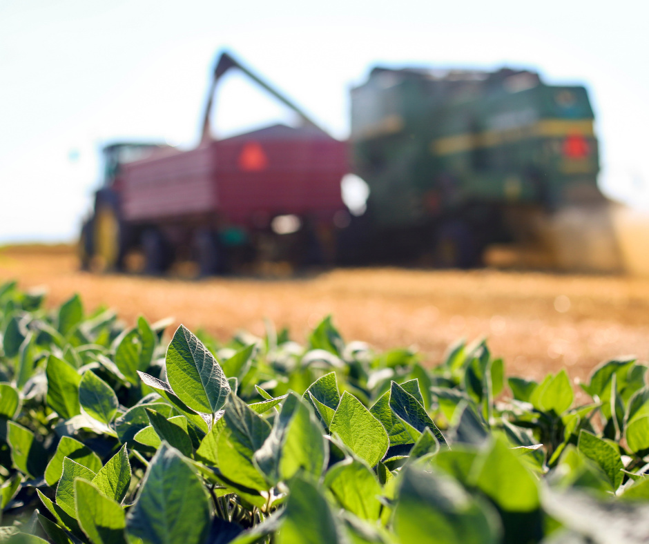 Sprzęt rolniczy pracujący w polu