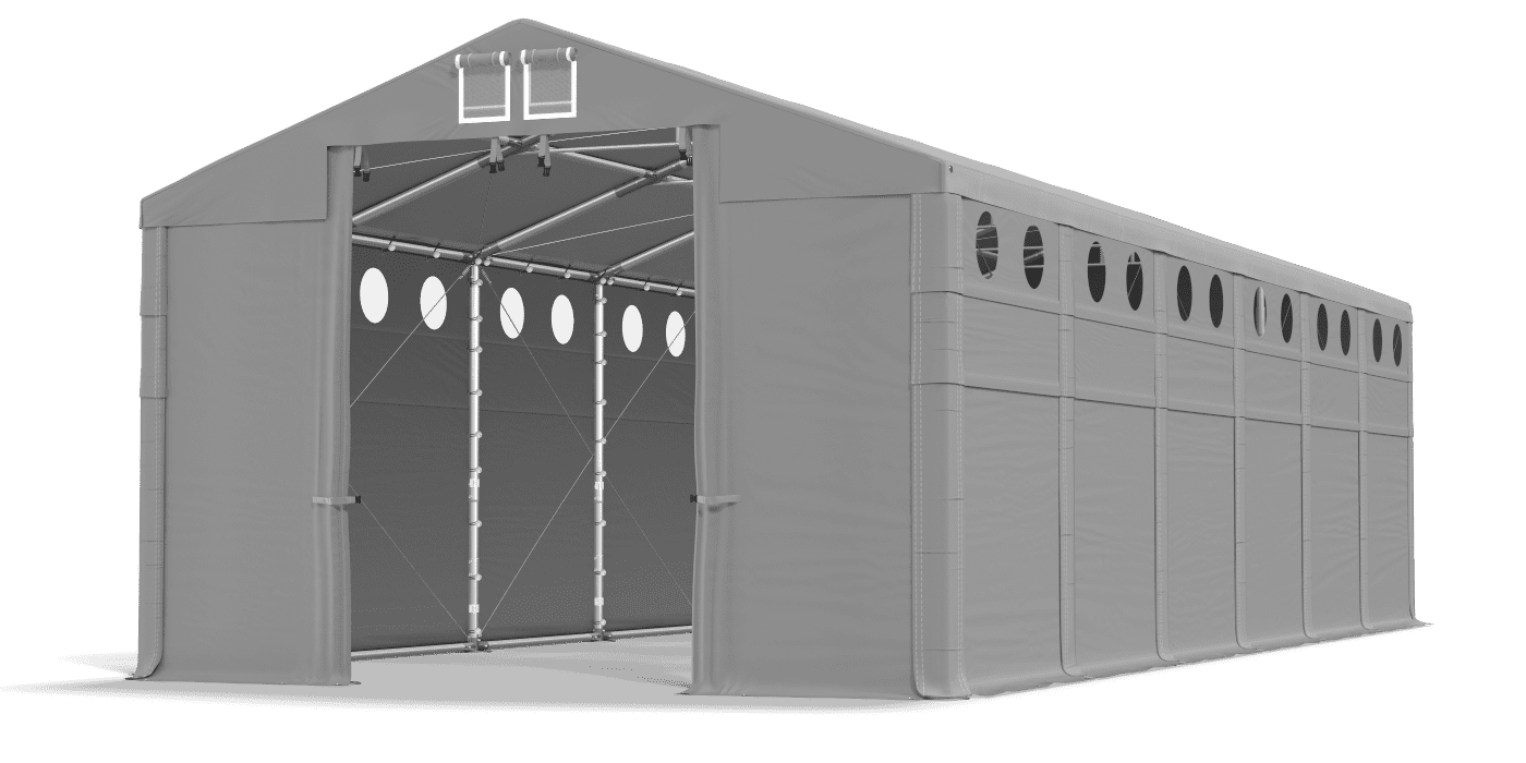 Szara hala namiotowa