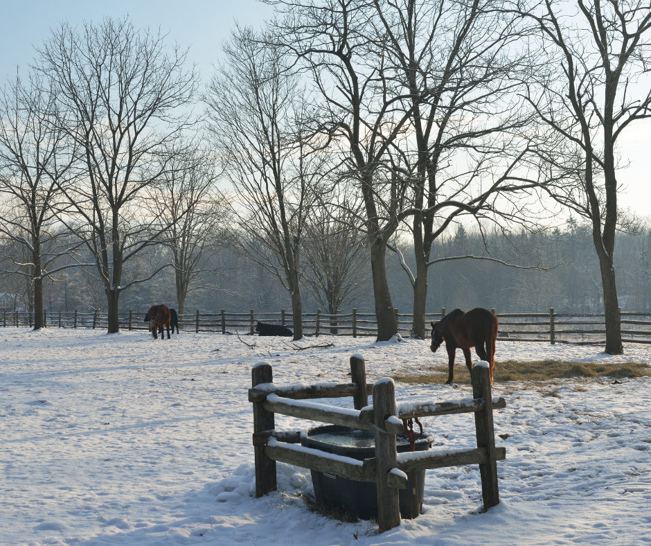 Gospodarstwo rolne zimą
