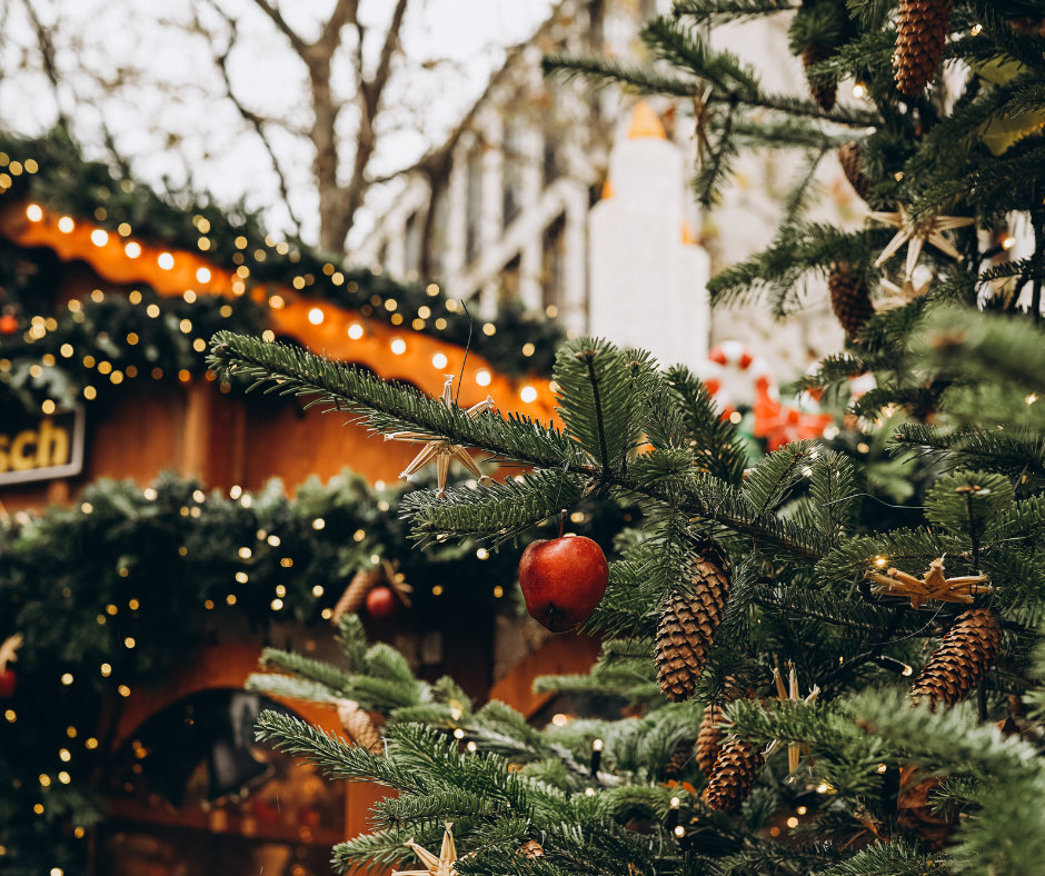 Dekoracje zimowe Świąteczne dekoracje roślinne